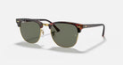 Ray-Ban Brown Tortoise Clubmaster Sunglasses RB3016-990/58