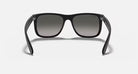 Ray-Ban Matte Black Justin Classic Sunglasses RB4165-622