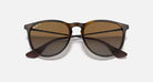 Ray-Ban Brown Havana Erika Classic Sunglasses RB4171-710/T5