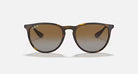 Ray-Ban Brown Havana Erika Classic Sunglasses RB4171-710/T5