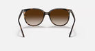 Ray-Ban Brown Havana Gradient Sunglasses RB4378-710