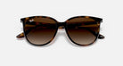 Ray-Ban Brown Havana Gradient Sunglasses RB4378-710