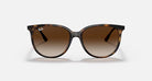 Ray-Ban Brown Havana Gradient Sunglasses RB4378-710