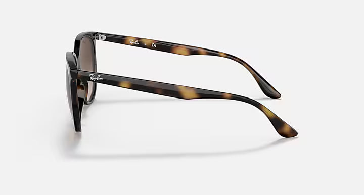 Ray-Ban Brown Havana Gradient Sunglasses RB4378-710
