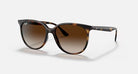 Ray-Ban Brown Havana Gradient Sunglasses RB4378-710