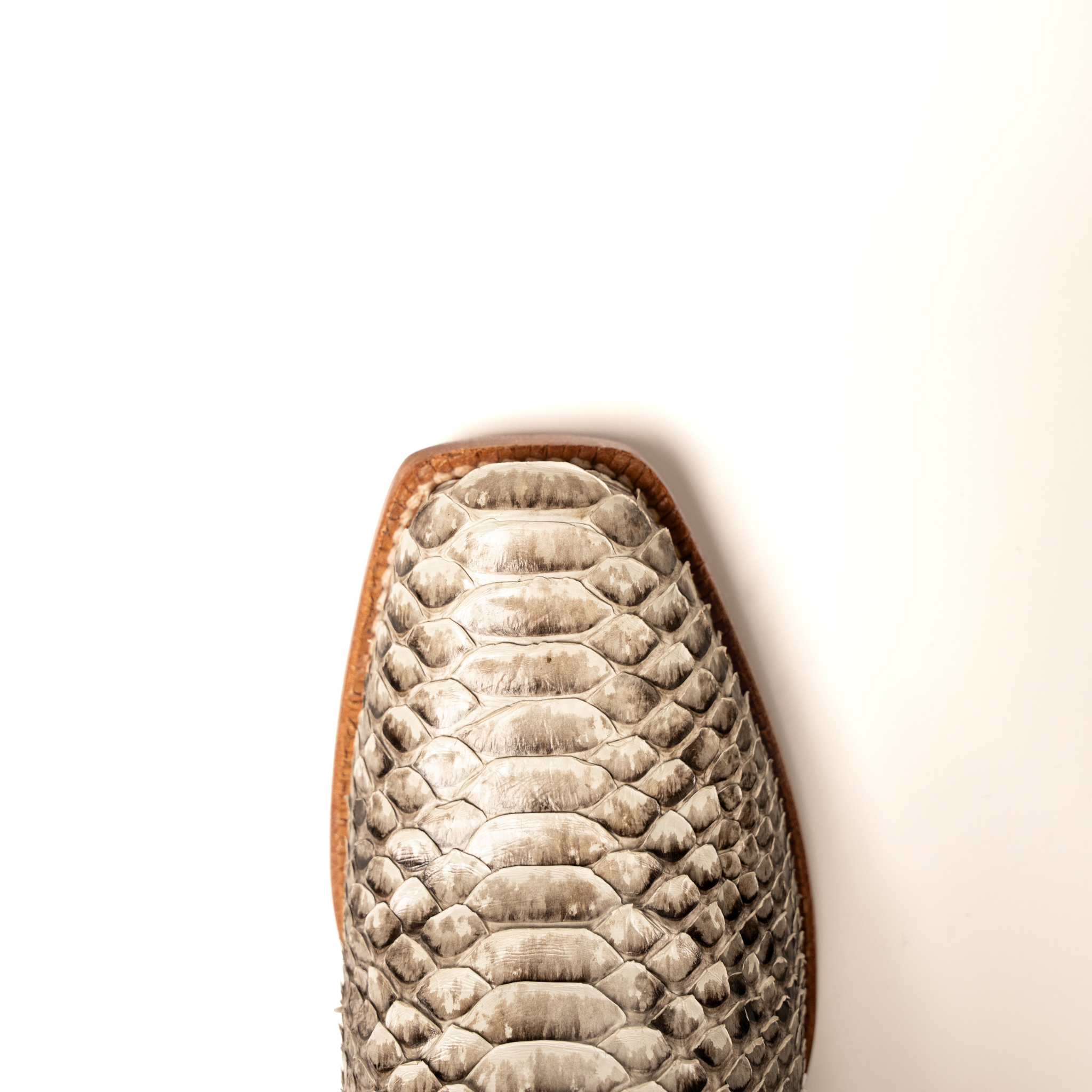 Women's R. Watson Python Narrow Square 14″ RWL7200 - Crazy House Western Wear