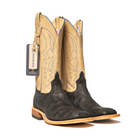 Anderson Bean Black Elephant with 13" Tan Sinsation Top - Crazy House Western Wear