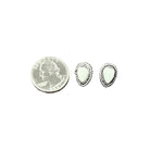 Women's Isac 10mm Drop White Turquoise Stud Earrings