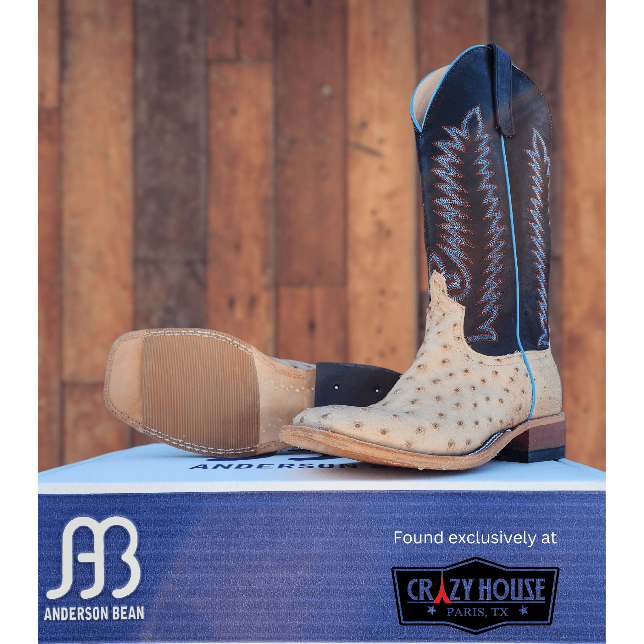 Anderson Bean Tan Vintage Full Quill Ostrich with 13" Black Aniline Top - Crazy House Western Wear