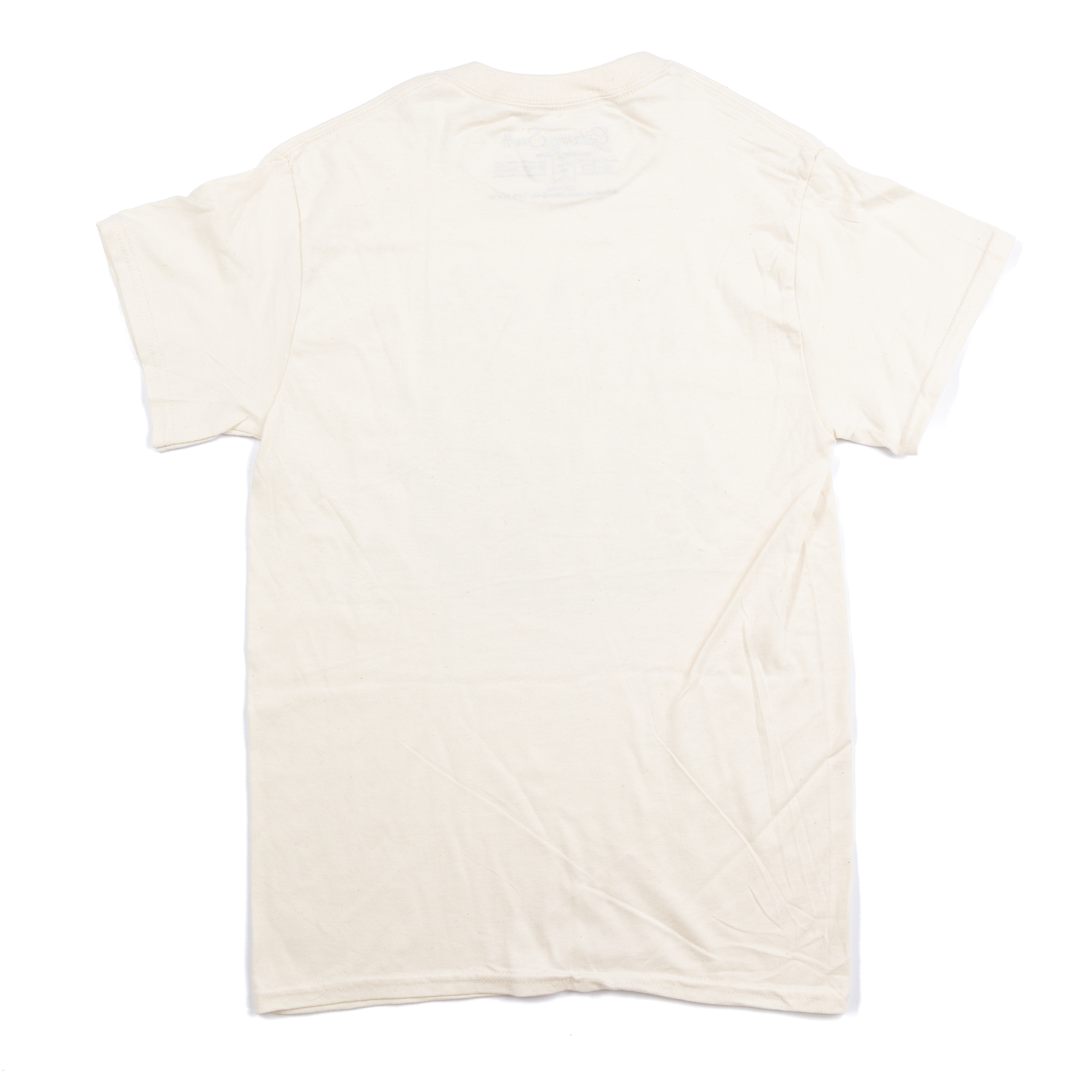Women's Beige Dot Bow Pumpkin T-shirt 