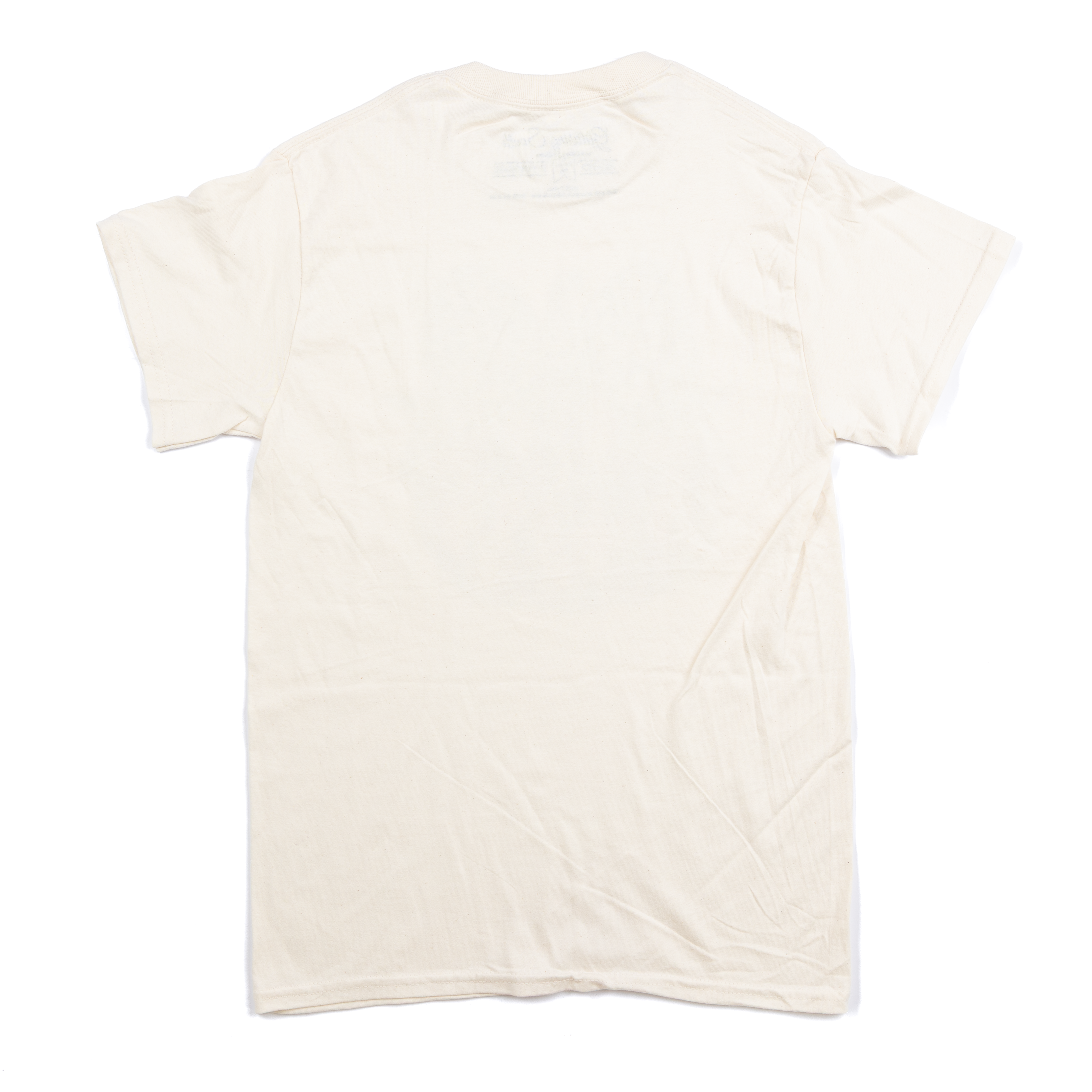 Women's Beige Dot Bow Pumpkin T-shirt 