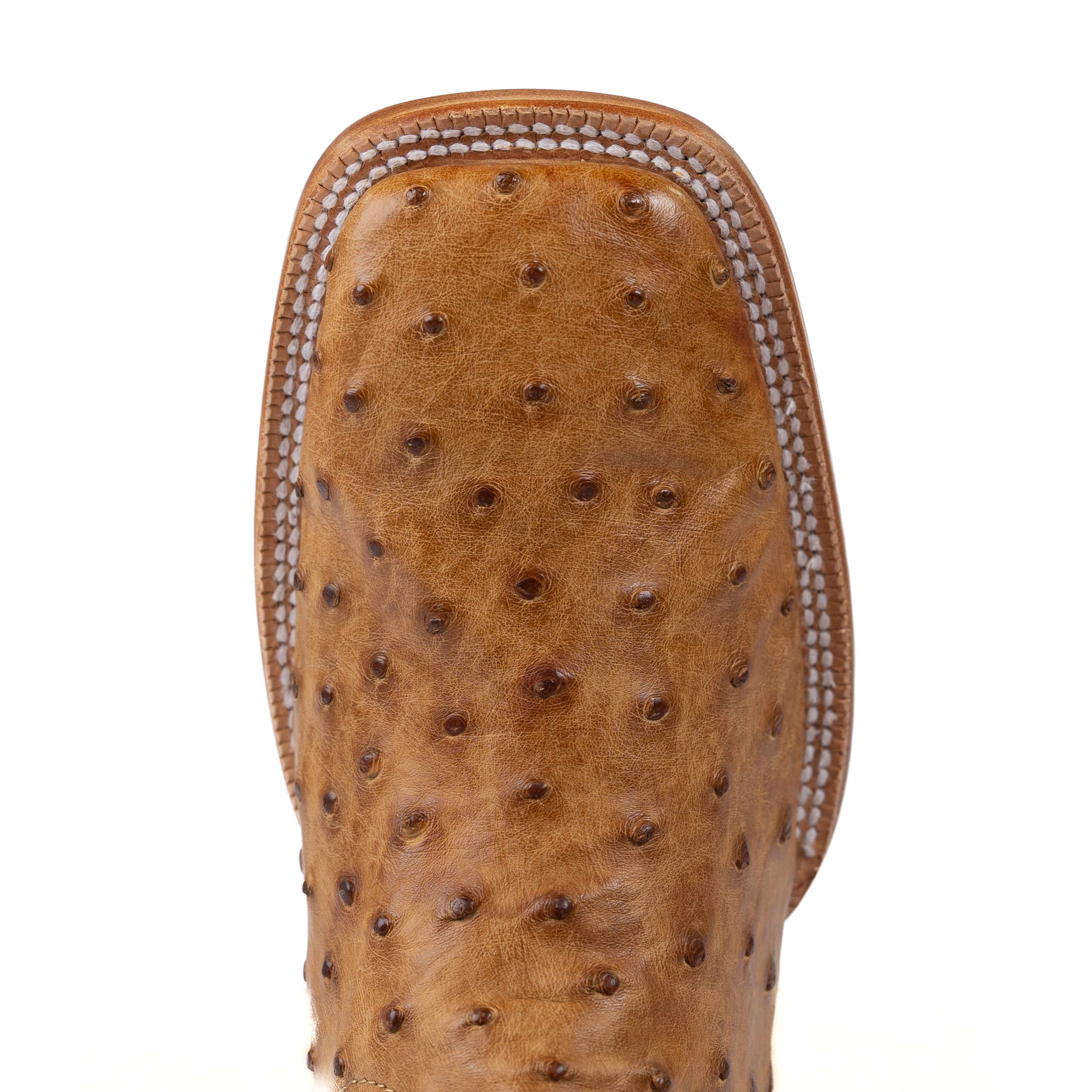 Men's R. Watson Full Quill Ostrich Wide Square with 13″ Volcano Brass Top  RW4603-2