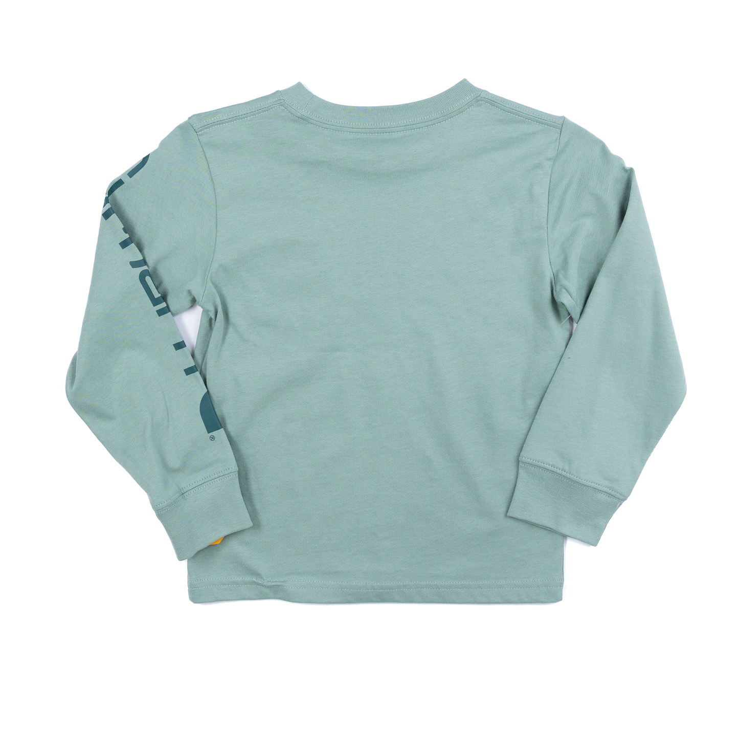 Boy's Carhartt Long-sleeve Graphic Pocket T-shirt CA6746-GH5
