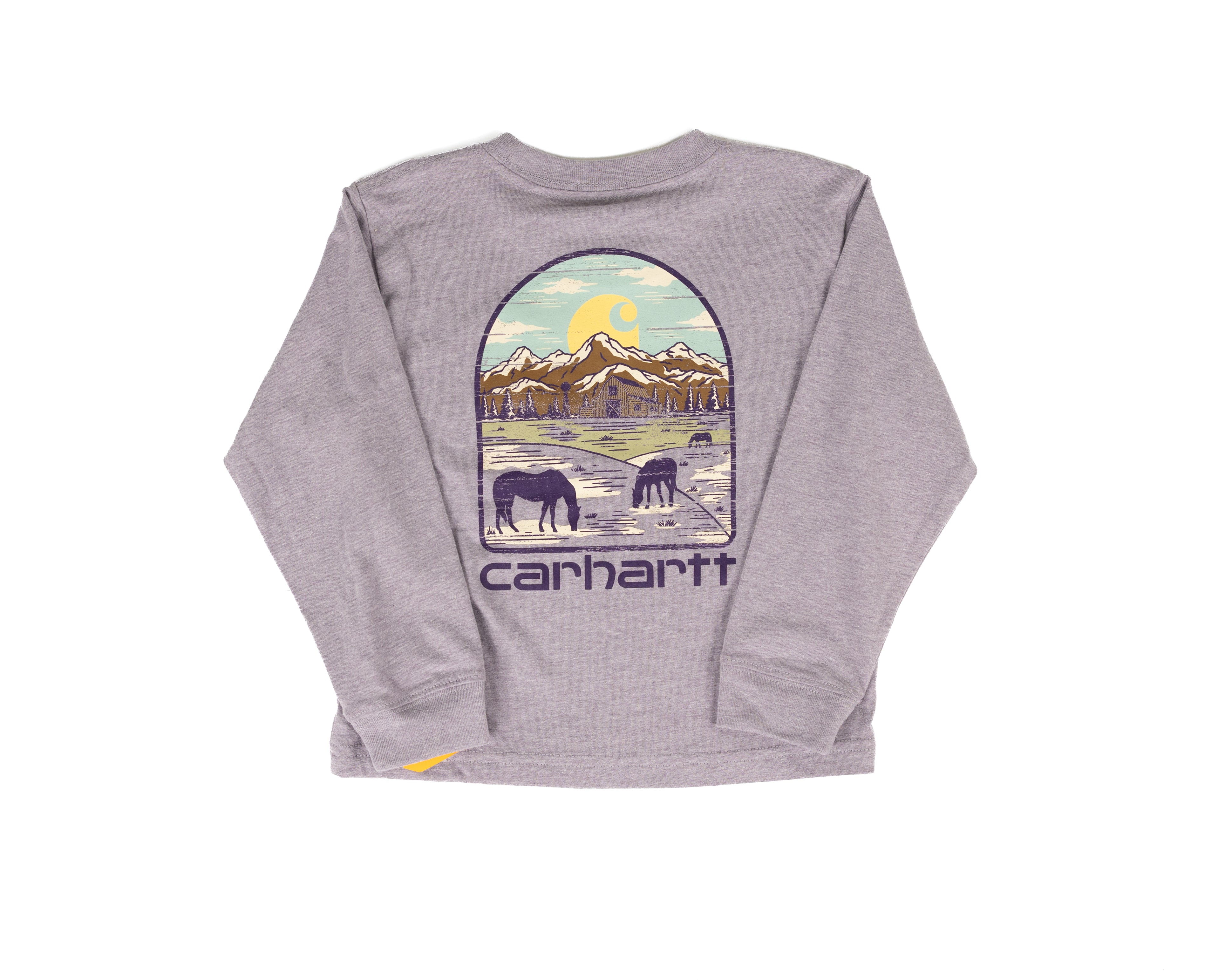 Carhartt Girl's Grape Long Sleeve Farm Printed T-shirt CA7212VA3H