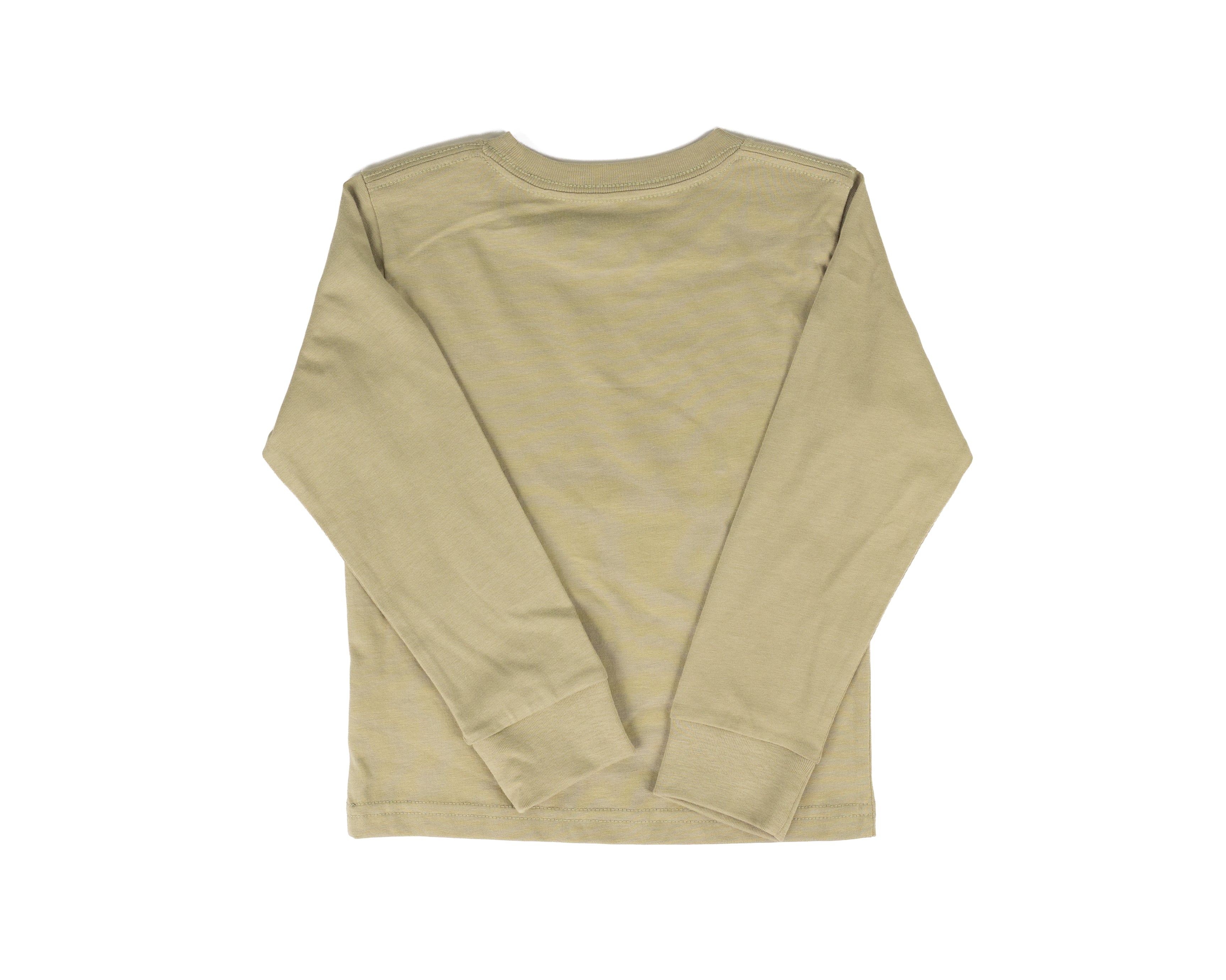 Carhartt Boy's Green Long Sleeve Graphic Printed T-shirt (3M-24M) CA6871GR9
