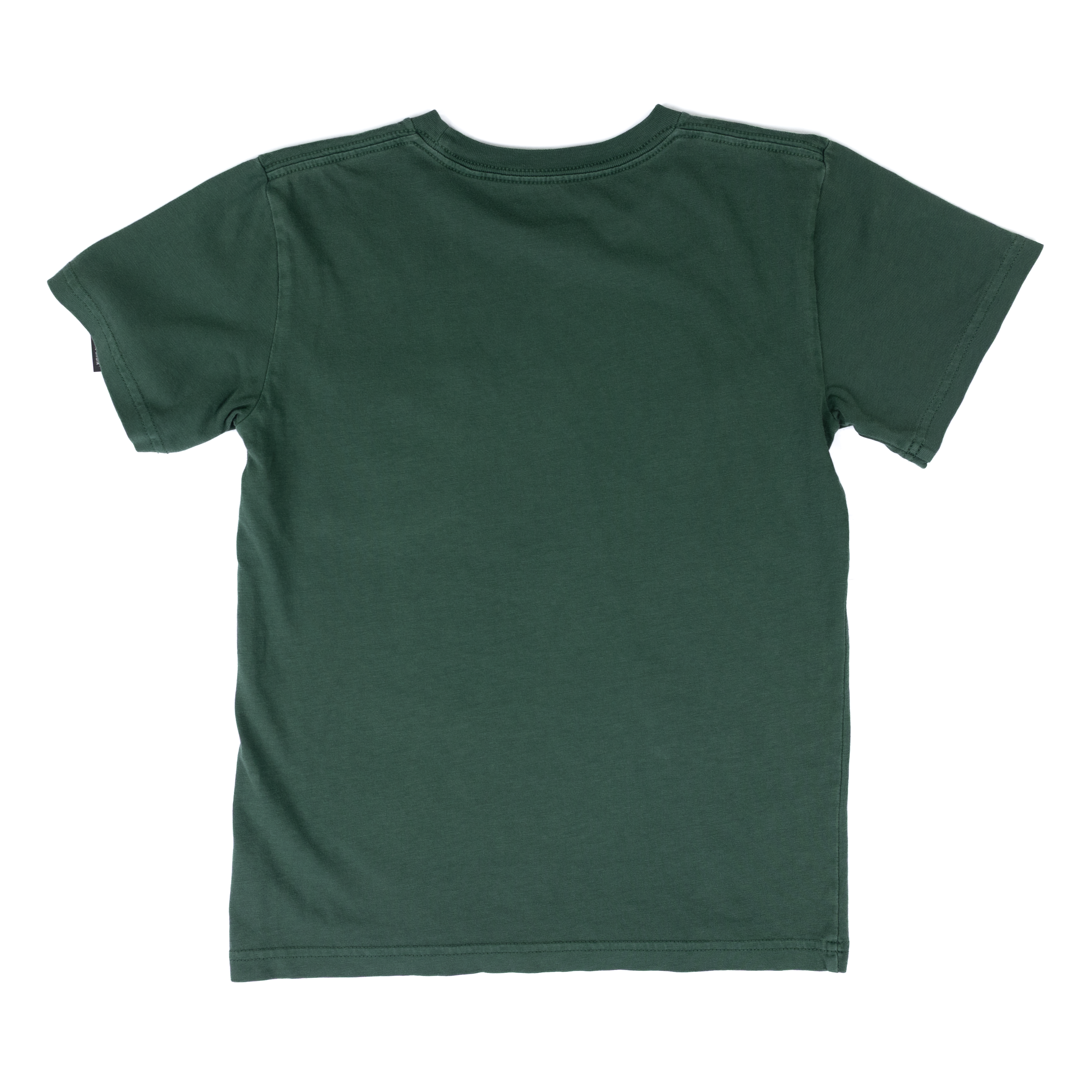 Boy's Carhartt Short Sleeve Forest Green Pocket T-shirt CA6789-GP1W