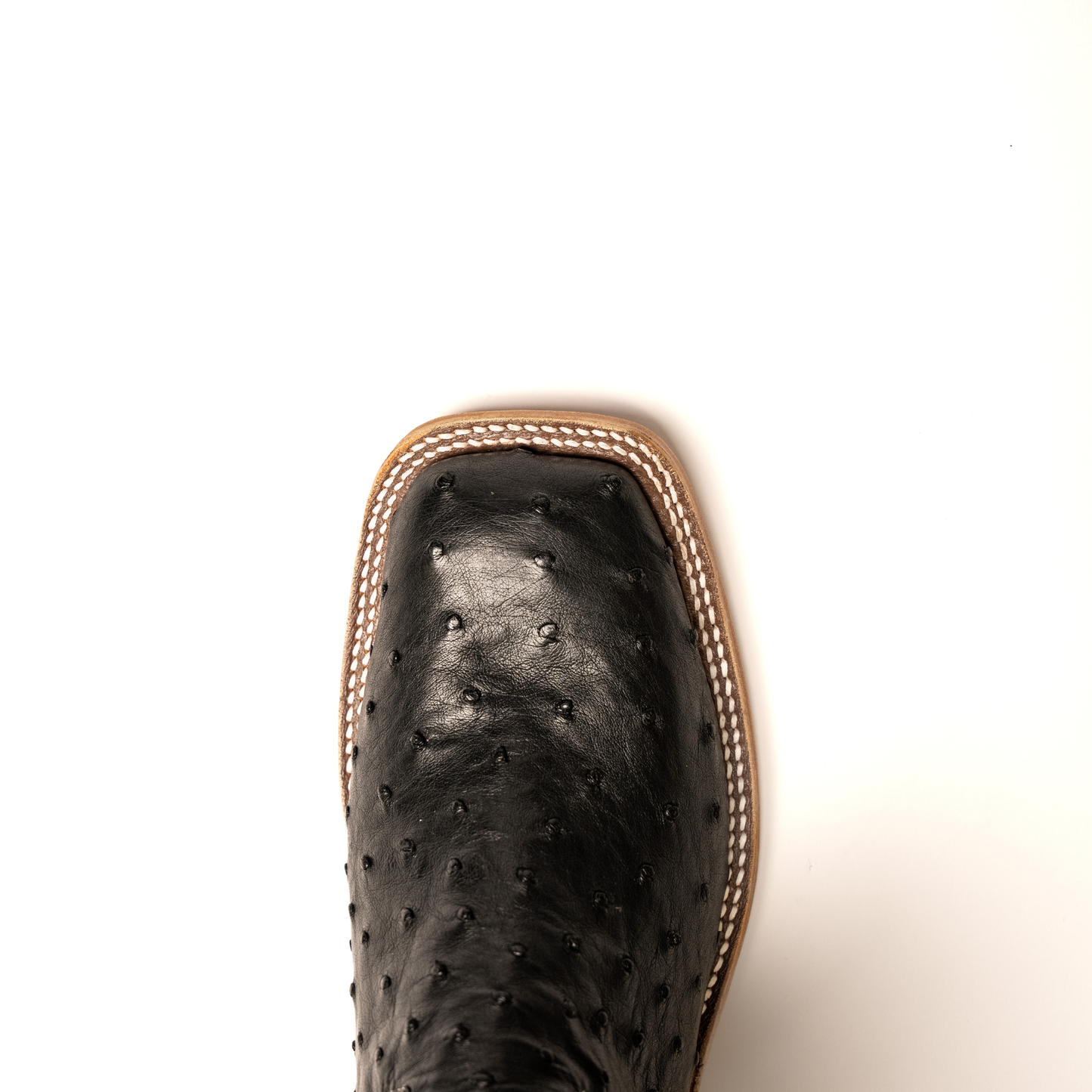 Anderson Bean Black Full Quill Ostrich with 13" Black Kidskin Top S3015 - Crazy House Western Wear