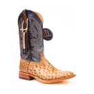Anderson Bean Rum Brown Glazed Full Quill Ostrich with 13" Regal Blue Top - Crazy House Western Wear