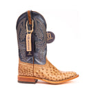 Anderson Bean Rum Brown Glazed Full Quill Ostrich with 13" Regal Blue Top - Crazy House Western Wear