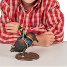 Child wearing a cowboy hat and red plaid shirt with a toy cow on a white background