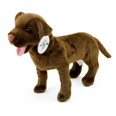 Stuffed Brown Dog on a white background