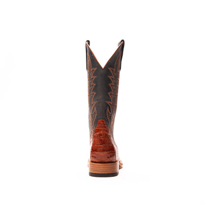 Women's Macie Bean Brandy Caiman Belly with 12" Blue Mad Dog Top M2003 - Crazy House Western Wear