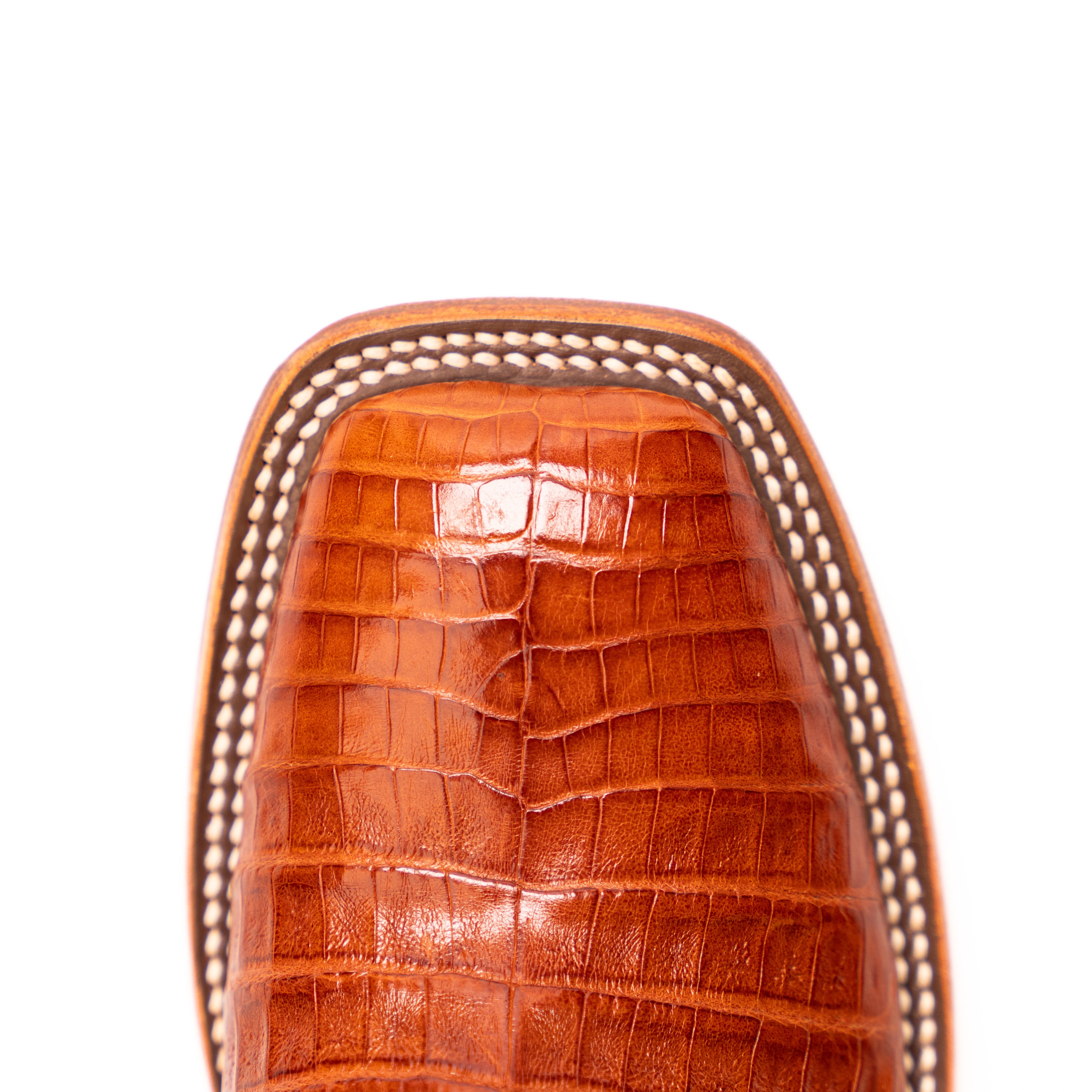 Women's Macie Bean Brandy Caiman Belly with 12" Blue Mad Dog Top M2003 - Crazy House Western Wear