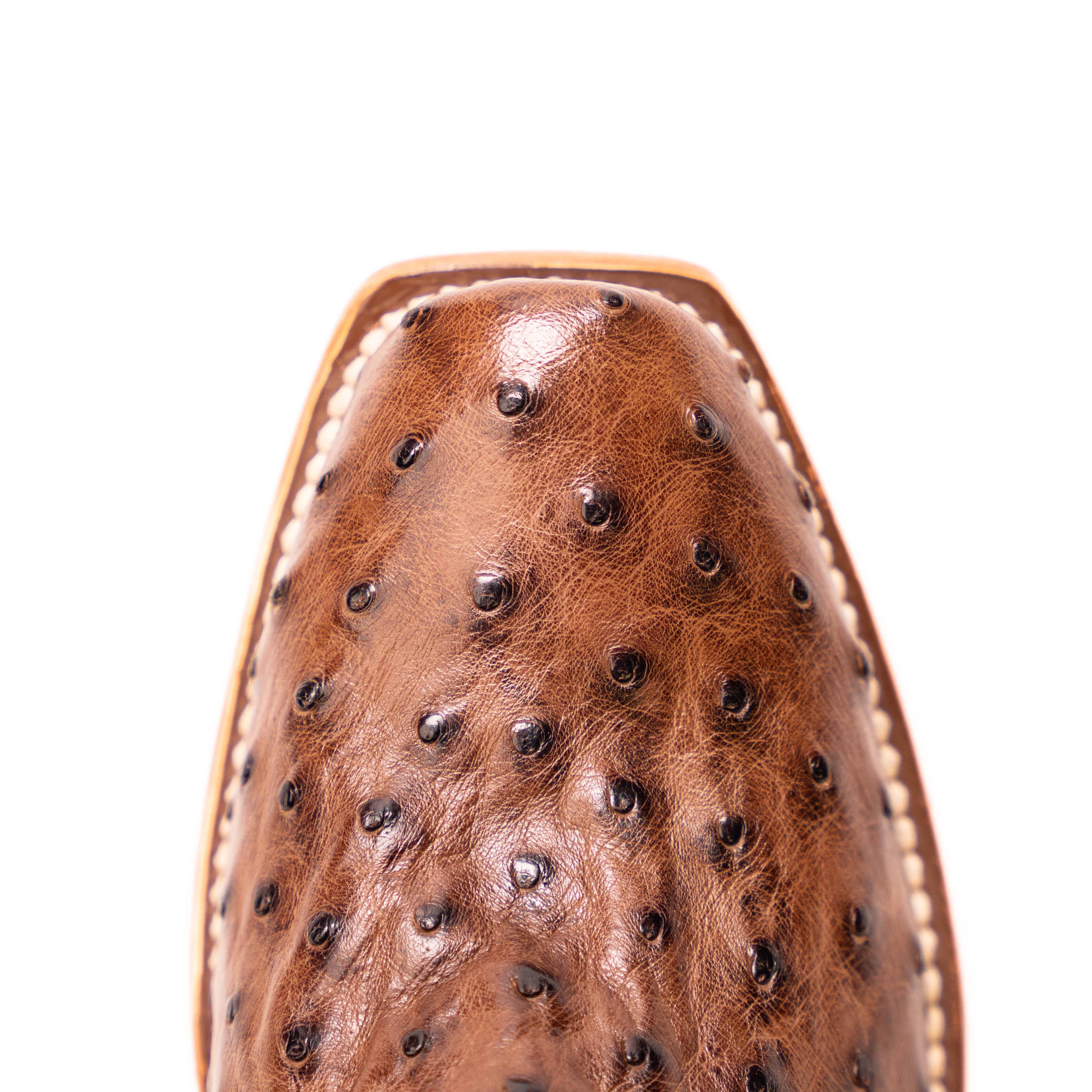 Women's Macie Bean Kango Tobacco Full Quill Ostrich with 13" Emerald Explosion Top M9502 - Crazy House Western Wear