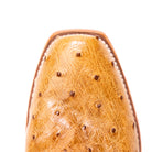 Women's Macie Bean Antique Saddle Full Quill Ostrich with 13" Navy Explosion Top M9503 - Crazy House Western Wear