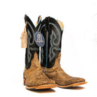 Anderson Bean Mocha Lambskin with 13" Black Glove - Crazy House Western Wear