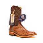 Anderson Bean Rum Brown Ostrich with 10" Brass Explosion Top - Crazy House Western Wear