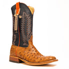 Anderson Bean Brandy Bruciato Full Quill Ostrich with 13" Burnished Navy Calf Top S3016 - Crazy House Western Wear