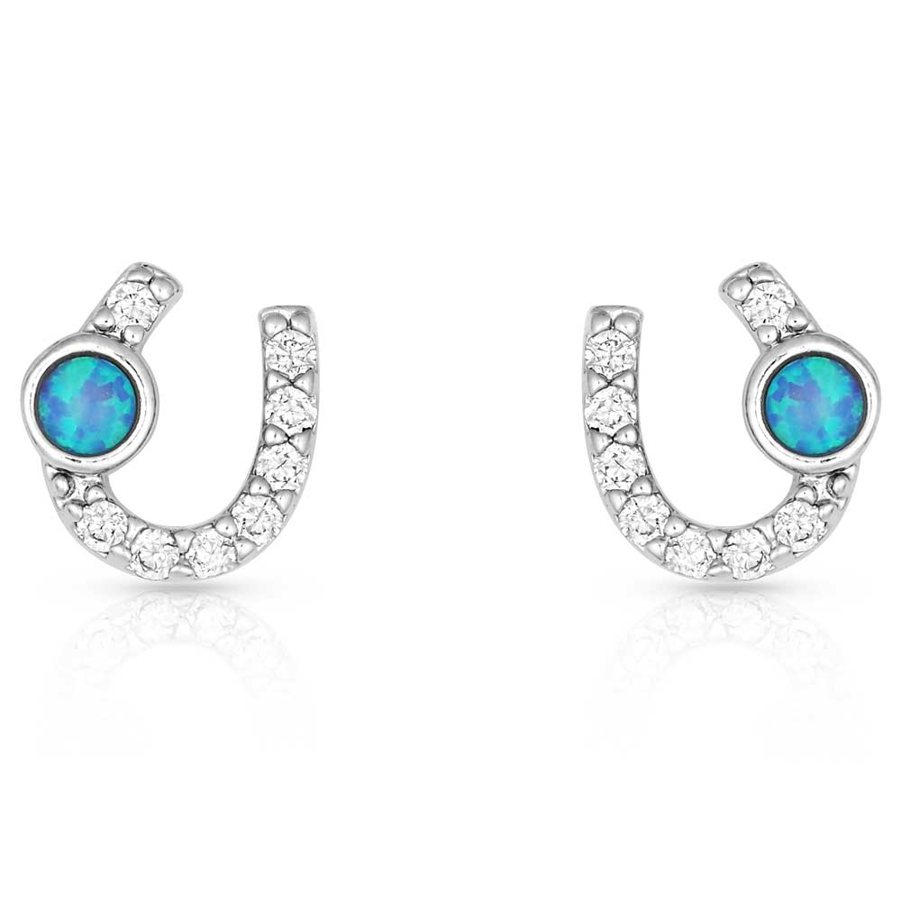 Women's Montana Silversmiths Lightfoot Horseshoe Earrings ER3394