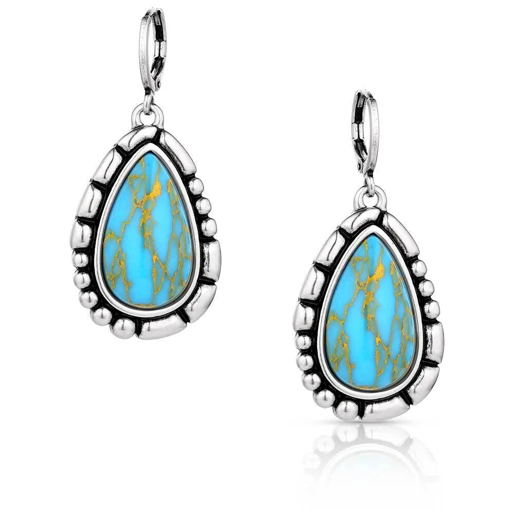 Women's Montana Silversmiths Prickly Pear Turquoise Earrings ER6126