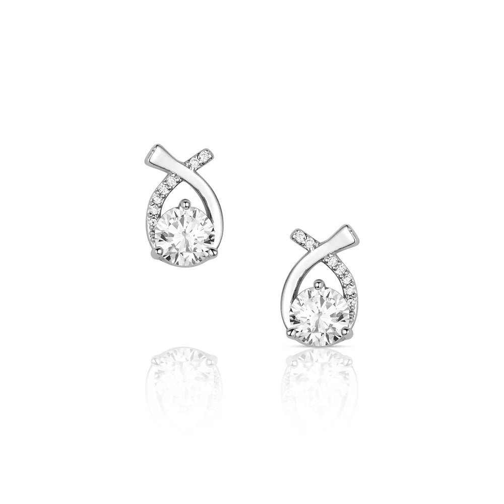 Montana Silversmiths Women's Faithful Stream Earrings ER6626
