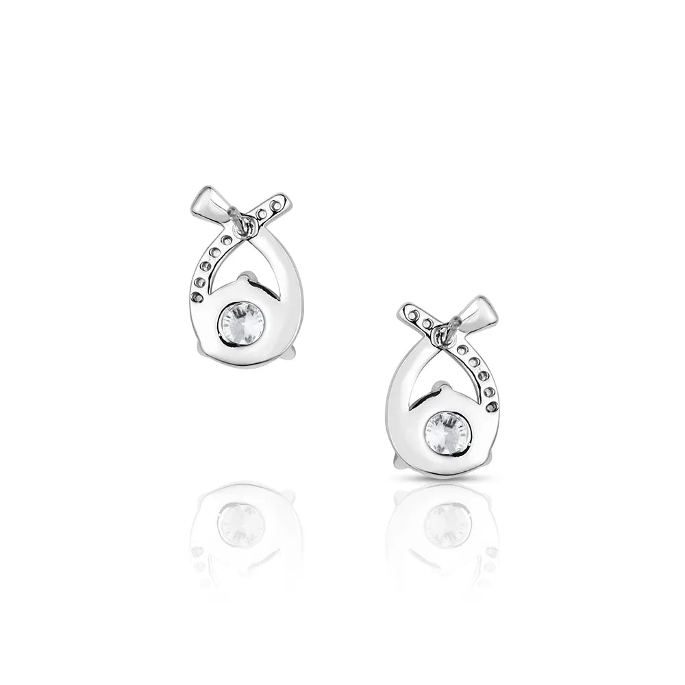Montana Silversmiths Women's Faithful Stream Earrings ER6626