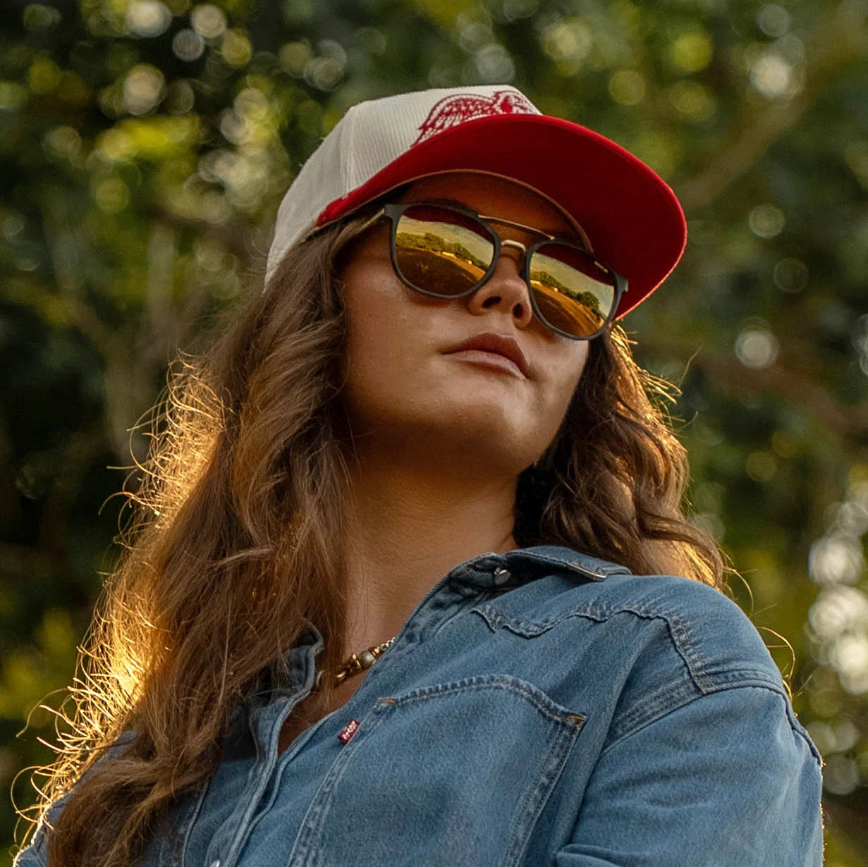Bex Tortoise Gray/Brown and Gold Dillinger OTG Sunglasses S169TBG