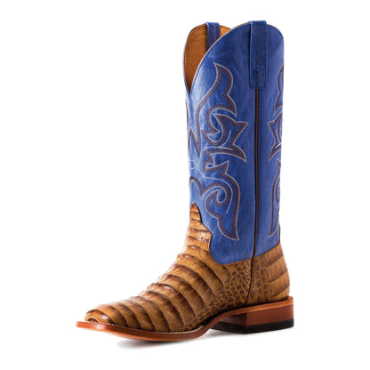 Men's Horsepower Toasted Caiman Print with 13" Blue Sinsation Top HP1842 - Crazy House Western Wear