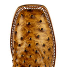 Men's Horsepower Honey Impostrich Print Steel Toe Boot 12" HPW2503 - Crazy House Western Wear