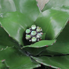 Women's Bobby Johnson Sonoran Gold Turquoise Ring Sz. 8 - Crazy House Western Wear