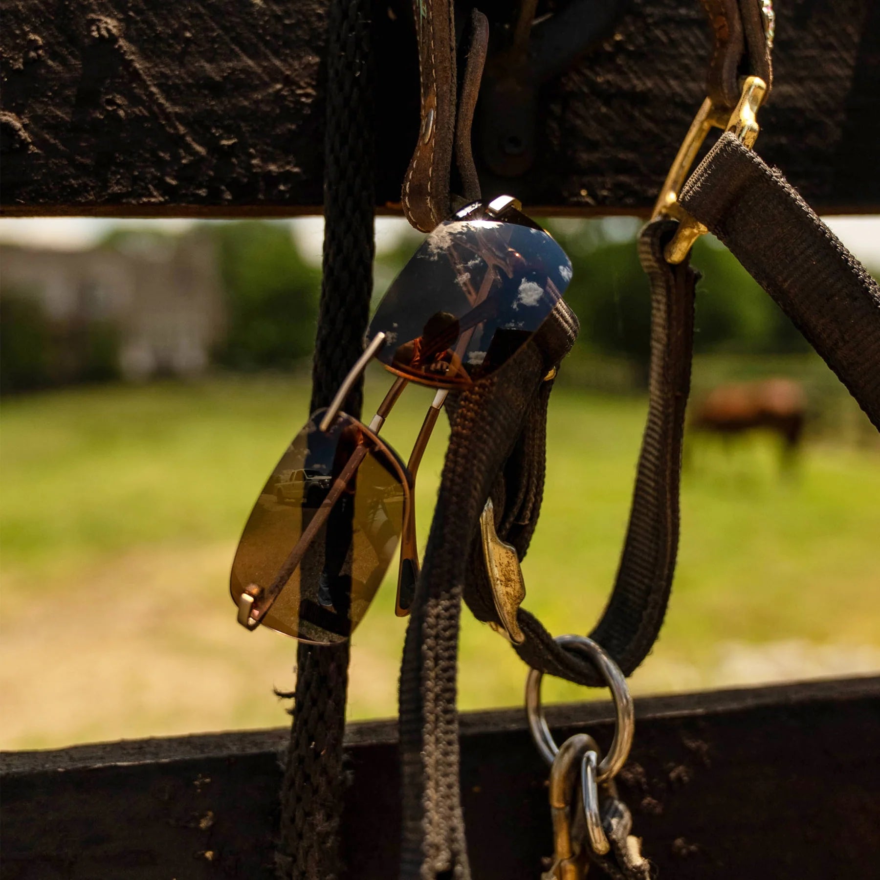 Bex Gold and Brown Legolas OTG Sunglasses S157GB