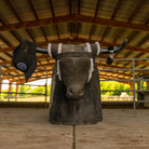 Bex Legolas OTG Black/Gray/Silver Sunglasses S157BGS