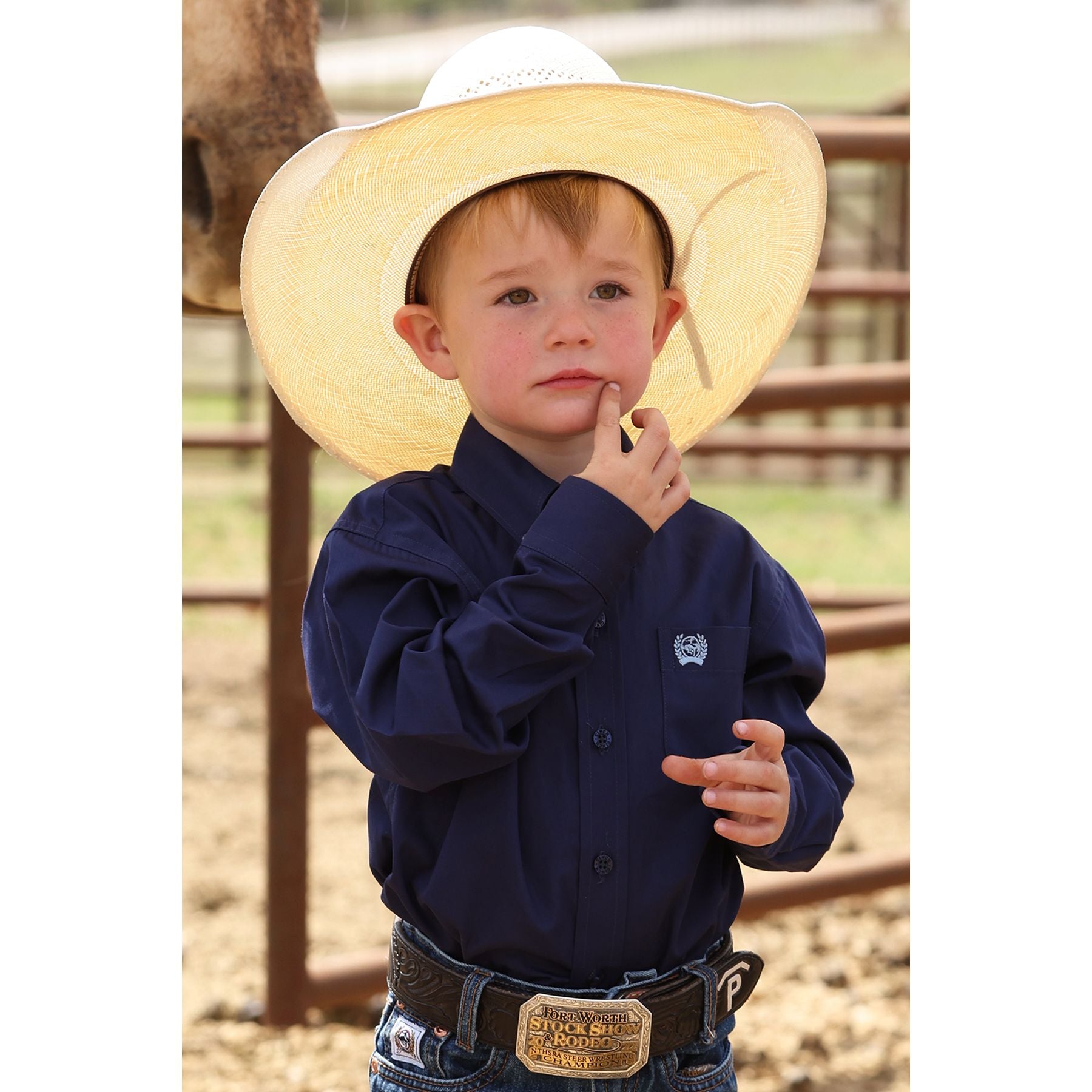 Boy's Cinch Toddler Solid Royal Blue Button Down Shirt MTW7061412