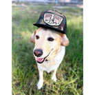 Men's Red Dirt Hat Co " Fly South" Cap RDHC-489 - Crazy House Western Wear