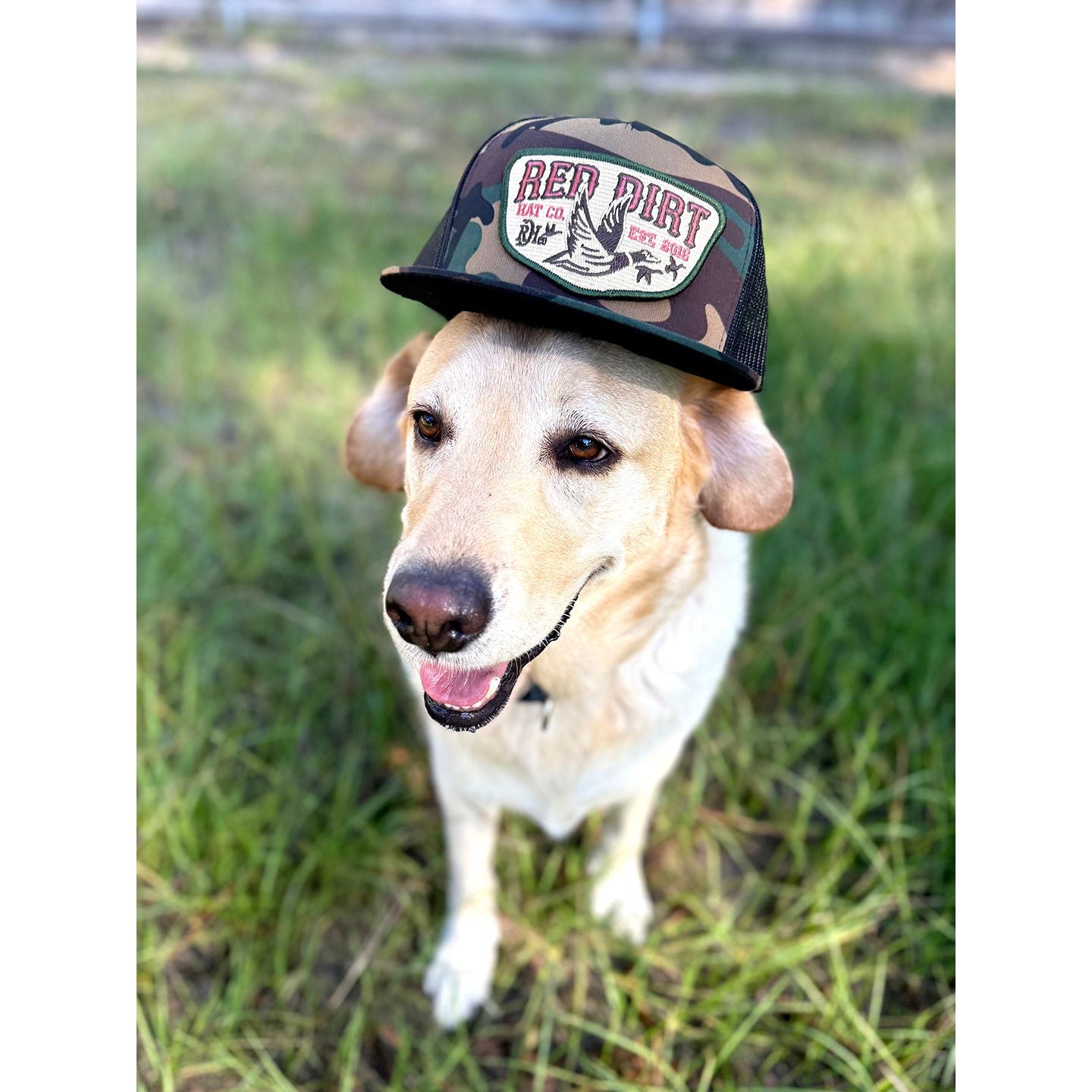 Men's Red Dirt Hat Co " Fly South" Cap RDHC-489 - Crazy House Western Wear