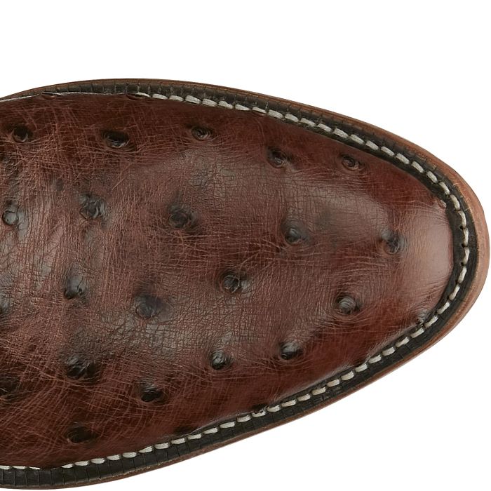 Men's Tony Lama Mccandles 13" Full Quill 8256 - Crazy House Western Wear