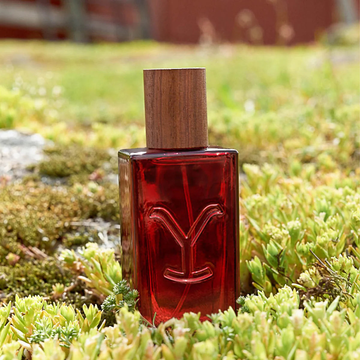 Women's Yellowstone Tornado Perfume 96203