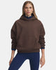 Under Armour Peppercorn Icon Fleece Hoodie 6013544-200