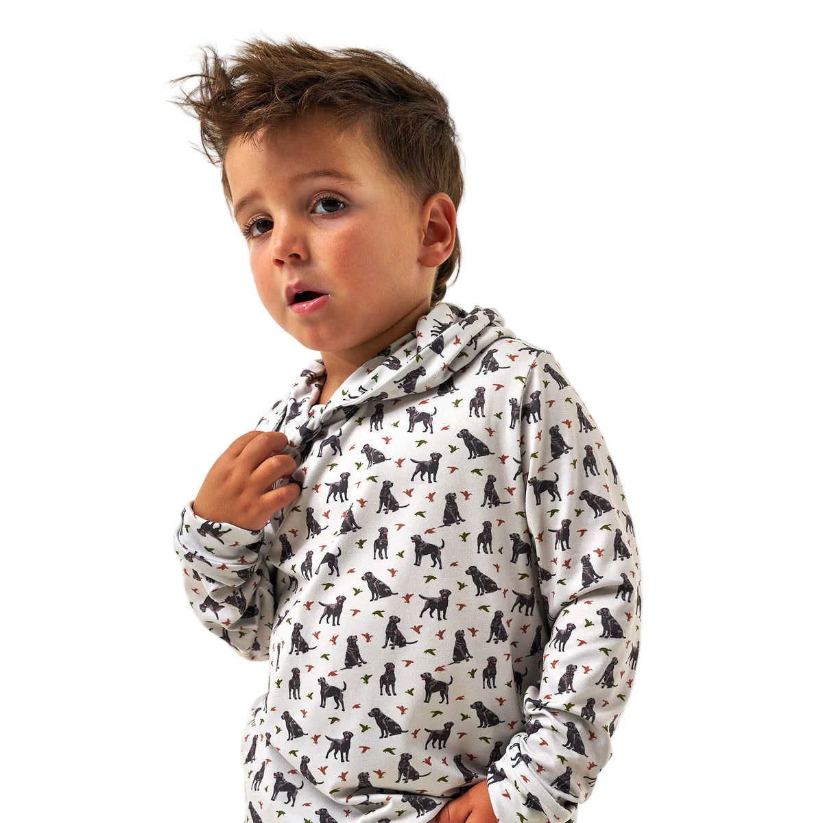 Boy's Burlebo Performance Hoodie Ducks and Dogs Y-PH-DAD