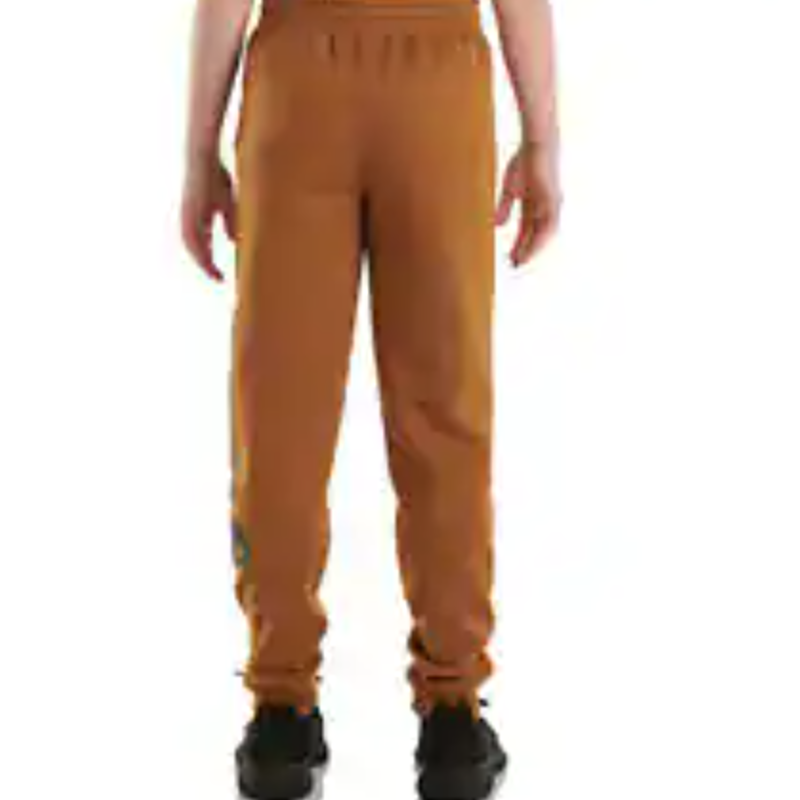 Boy's Carhartt Fleece Logo Sweatpants CK8429-D15